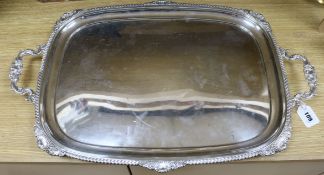 A plated tray length 69cm