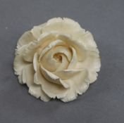 A 19th century Dieppe ivory rose, brooch/pendant, 54mm.