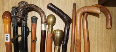 A white metal mounted walking stick and collection of other sticks