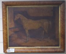 19th century English School, oil on canvas, horse in a stable, 35 x 44cm