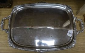 A plated tray length 69cm