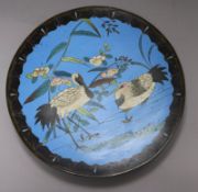 Five Japanese cloisonne enamel dishes of birds amid flowers diameter 30cm