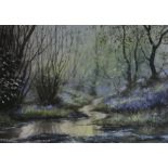 Andrew Dandridge, watercolour with bodycolour, 'Bluebells by the stream', 27 x 37.5cm