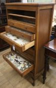 An oak floor-standing specimen cabinet containing exotic butterflies and moths, late Victorian and