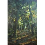 Louis Stroh van der Walt (South African b.962)oil on boardAvenue of trees dappled by