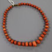 A single strand graduated coral bead necklace, gross weight 54 grams, 40cm.
