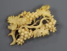 A carved ivory "fruiting vine" brooch, 57mm.