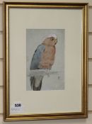 Henry Stacy Marks, watercolour, Galah cockatoo, monogrammed, 23 x 15cm