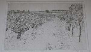 Anthony Gross, etching, Monsieur Bernedes Vineyard, signed in pencil, 20/50, 25 x 35cm