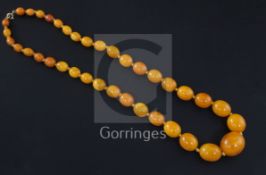 A single strand graduated oval amber bead necklace, gross weight 54 grams, 58cm.
