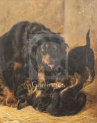 Richard Ansell (1815-1885)oil on canvasCavalier spanielssigned20 x 16in.