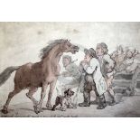 Thomas Rowlandson (1756-1827)pencil, pen, ink and watercolour'A horse, the most serviceable animal