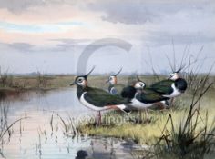 John Cyril Harrison (1898-1985)watercolourLapwing by water's edgesigned11 x 15in.