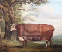 Thomas Weaver (1774-1843)oil on canvasNaive study of a prize cow in a landscapesigned and dated
