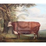 Thomas Weaver (1774-1843)oil on canvasNaive study of a prize cow in a landscapesigned and dated