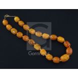 A single strand graduated ovoid amber bead necklace, gross weight 53 grams, 38cm.