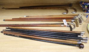 A collection of walking sticks, many silver mounted