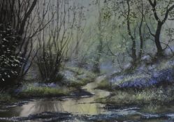 Andrew Dandridge, watercolour with bodycolour, 'Bluebells by the stream', 27 x 37.5cm
