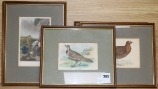 Four Victorian colour prints of gamebirds and two other hunting prints