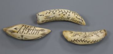 Three whale's tooth scrimshaws largest 9cm