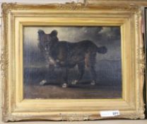 19th century English School, oil on canvas laid on card, portrait of a dog in a stormy landscape, 28