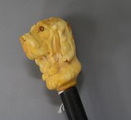 An ivory dog's head handle cane