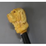 An ivory dog's head handle cane