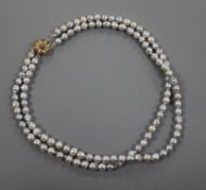 A modern South Sea cultured pearl double strand necklace with a 14ct gold gem set clasp, 50cm.