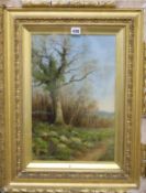 Harold Clayton Adams, oil on canvas, field in springtime, signed, 45 x 29cm