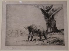 John Nicholson, dry point etching, horse grazing, signed in pencil with accompanying original