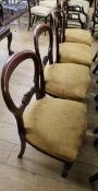 A set of four Victorian mahogany balloon back dining chairs