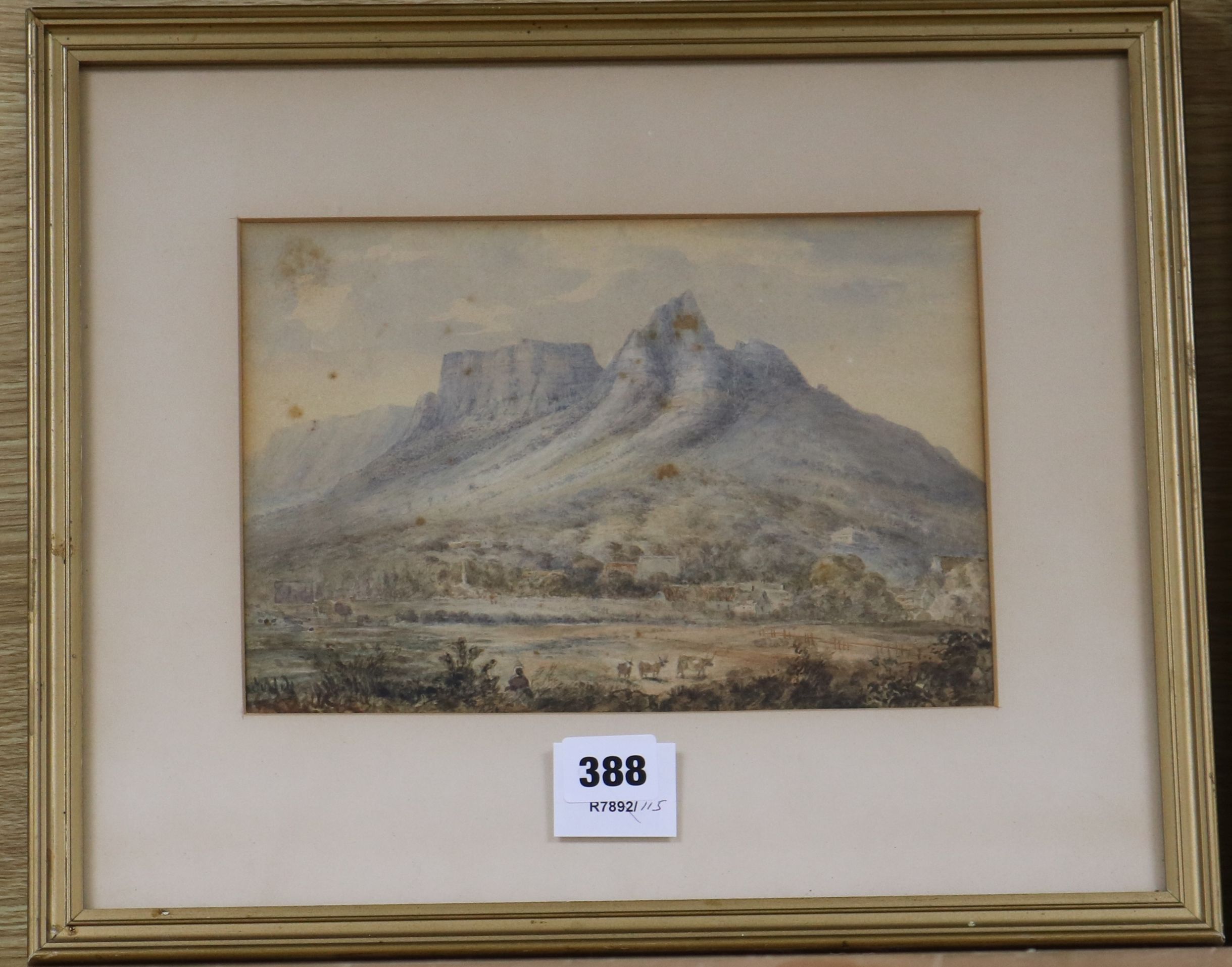 19th century South African School, watercolour, lion's head