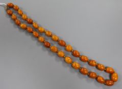 A single strand graduated oval amber bead necklace, gross weight 53 grams, approx. 62cm.