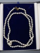 A Mikimoto single strand cultured pearl necklace with 18ct gold clasp, with Mikimoto box, 36in.