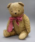 A European cotton plush teddy bear, Sammy,