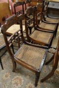 A set of six Regency rosewood cane seated dining chairs