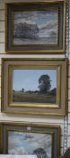 Nick Mace (b. 1949), oil on board, 'Flooded Fields' and a pair of similar oils by the same hand of