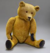 A 1920's American teddy bear, Zack, with short golden mohair, deep amber and black glass eyes,