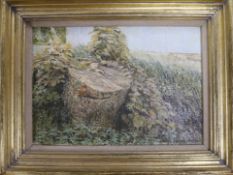 Maurice Sheppard RWS, oil on canvas, Tree stump, signed and dated 1978, 17 x 24cm