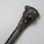 An Edwardian dog's head walking stick length 90cm