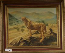 Muller, oil on canvas, cheetah in a landscape, signed and dated 1980, 39 x 49cm
