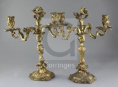 A pair of 19th century French Louis XVI style ormolu candelabra, with scrolling branches and