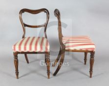 A set of eight William IV rosewood dining chairs, with buckle backs and padded seats, on carved