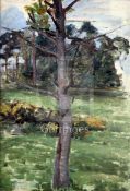 John William Waterhouse RA (1849-1917)oil sketch on canvas boardStudy of a tree13.75 x 9.75in.