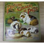 [Colour plate] - Picture Gallery of Pets, 18 chromolitho's on stiff boards, large square quarto,