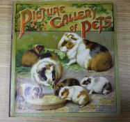 [Colour plate] - Picture Gallery of Pets, 18 chromolitho's on stiff boards, large square quarto,