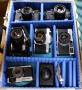 A collection of various cameras: two Pentax, two Olympus, two Minolta and a Canon camera