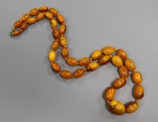 A single strand graduated oval amber bead necklace, goss weight 50 grams, 66cm.ex Congelow House