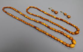 Two amber bead necklaces and a pair of amber earrings, gross weight 52 grams.