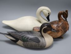 Three decoy ducks